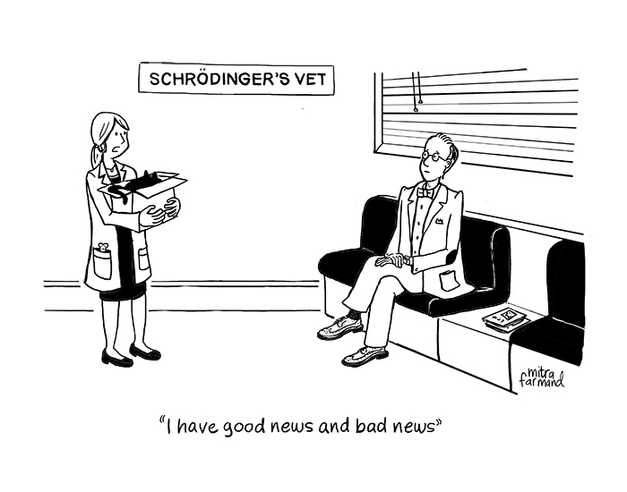 Schroedinger cat